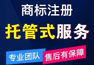 ??游戲人必看!手把手教你拿下商標保護,再也不怕被山寨!??